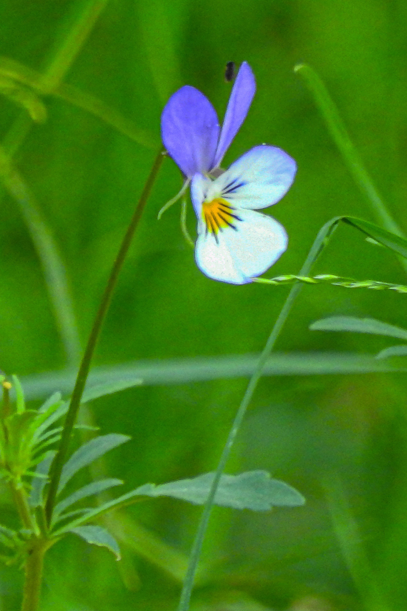 DSCN0151